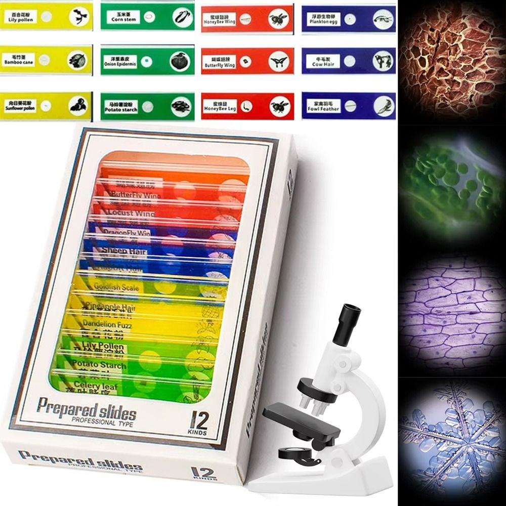 1Pcs 60-120X Pocket Microscope - Outdoor Lighting Kits review and price