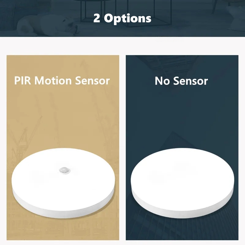 Waterproof LED Ceiling Lamp PI - Outdoor Lighting Garage review and price