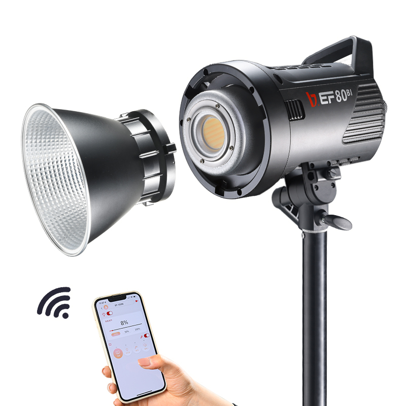 JINBEI EF-80Bi Handheld LED Vi - Outdoor Lighting Video review and price