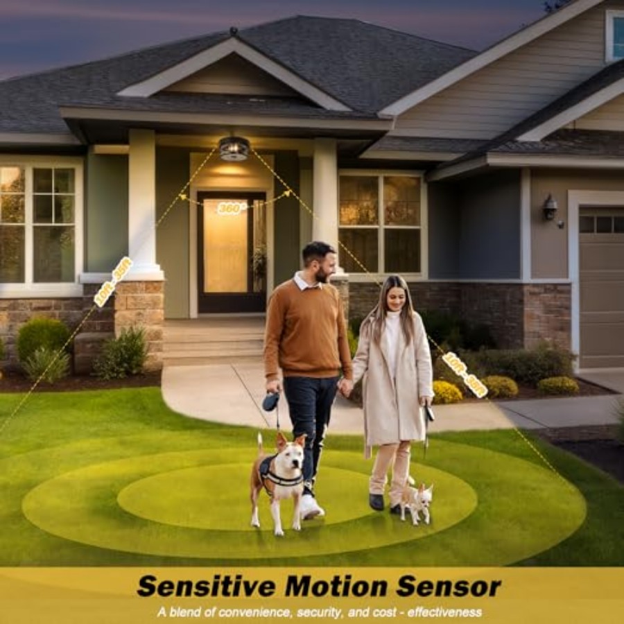 Motion Sensor Outdoor Ceiling  - Outdoor Lighting Fixtures review and price