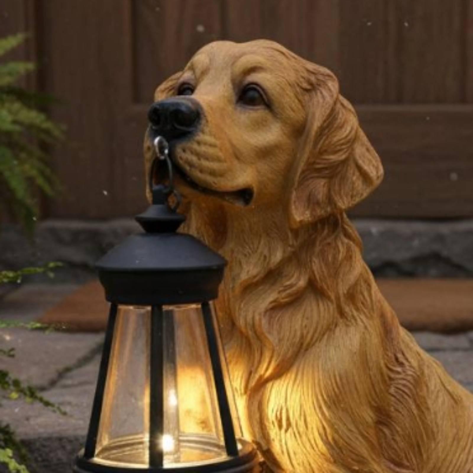 Outdoor Decorative Light Resin - Solar Lantern Hanging review and price